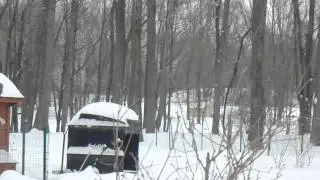 MOV02117