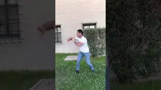 Hsing-i / Xingyi Kung Fu - 5 Elements Linking form