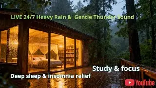 LIVE 24/7  Heavy Rain & Gentle Thunder Sounds 🌩️ Deep Sleep, Insomnia Relief & Focus