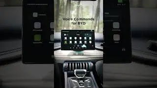 BYD's Intelligent Voice Assistant: Your Voice, Your Drive!