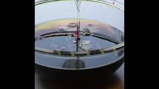 Making Of Bakuchi Moisturising Oil At SNAANA