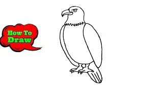 How Easy Way To Draw Eagle Step By Step | Animal Drawing Tutorial For Beginners