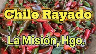 Chile rayado de La Misión