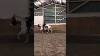 #horse #drafthorse #equestrianjourney #gallopracer #canter #riding #galloping #foryou #viral #fyp