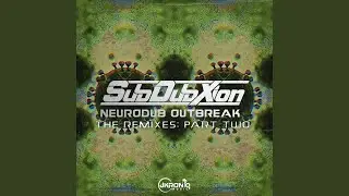 Roots & Reality (Salaryman Remix)