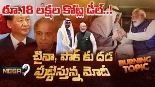 Is The India-UAE Defence Pact A Counter To Pakistan-Saudi Deal? | PM Modi  | Mega9tv