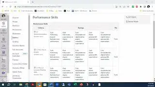 Performance Skills Rubric