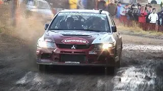 Wald4tel Rallye 2010 (AUT)