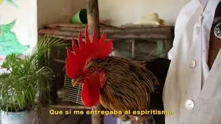 Curandero