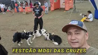 FESTCAO em Mogi das Cruzes
