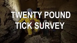 Twenty Pound Tick Cave Survey