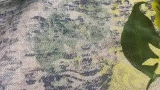Popsicle water bottle