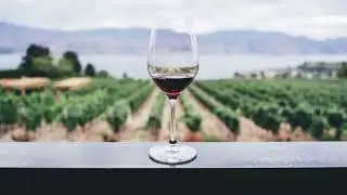 Worst supermarket wine wins gold medal in internat!!