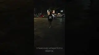 In the dark- a visual poem