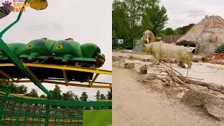 West Midlands Safari park tour Summer 2025