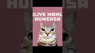 #raj Shree Pan masala 😂😂# funny shorts video #youtube shorts ₹