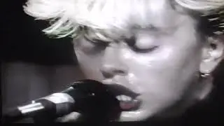 STRAY CATS : Live a Koln 1981 (3)