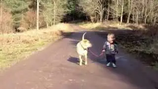 Klein kind laat de hond uit, maar vindt waterplassen ook erg interessant