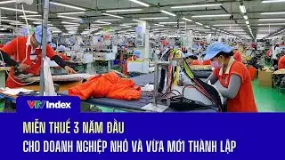 Miễn thuế 3 năm đầu cho doanh nghiệp nhỏ và vừa mới thành lập | VTVIndex