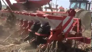 Посев подсолнуха в No-till сеялкой Kverneland в нашем хозяйстве Агроэлит (4000 Га)