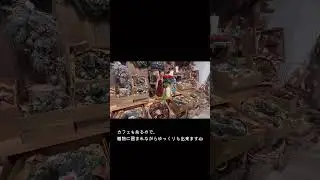 【Vlog】the Farm UNIVERSAL CHIBA｜関東最大規模のガーデニングショップ🪴へ行ってきた☺️