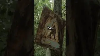 Brazil&rsquo;s Forbidden Island of Snakes