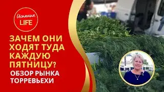 ЗАЧЕМ ОНИ ХОДЯТ ТУДА КАЖДУЮ ПЯТНИЦУ? ОБЗОР РЫНКА ТОРРЕВЬЕХИ