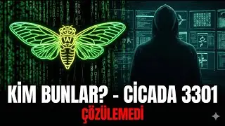 CİCADA 3301: &Ccedil;&ouml;zebilen Herkes Yok Oldu - İnternetin En Karanlık Sırrı