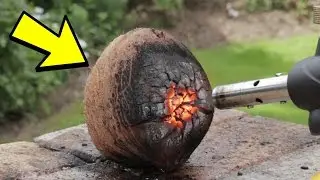 COCONUT VS GAS TORCH
