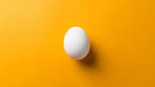 あなたにこの卵守れますか？【LOST EGG】#1