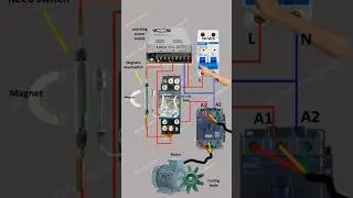 Reed sensor wiring Diagram | Magnetic reed switches to control motor | Reed sensor wiring