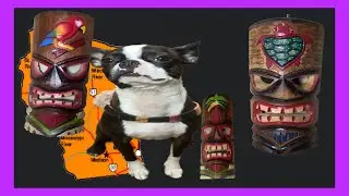 BOXER GOT SICK AND THE TRIP TO MILWAUKEE