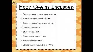 Food Chains DRAG AND DROP Digital Activity by Science by Sinai
