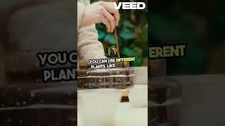 Unlocking the Secrets of Terrariums!