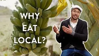 The Impact of Eating Local e01.2 - The benefits of local consumption