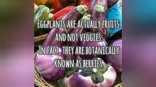 3VIA About Fruits🍎🍏