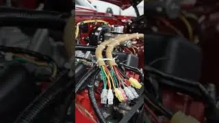The Restored Muscle Car Again Bossy Car ASMR #cars #restoration #shortsfeed #cars #fyp #asmr #viral