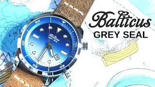 Balticus Grey Seal II 🕙 Polski zegarek do nurkowania (i nie tylko...) 🕙