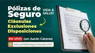 👉 Disposiciones, Cl&aacute;usulas y Exclusiones en las P&oacute;lizas de Seguro | Clase de Seguros