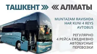 Almaty - Tashkent - Almati avtobus | Алмата Ташкент автобус | Rayyan Bus