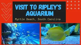 Visit to Ripley's Aquarium of Myrtle Beach-2021 | Zero Point |