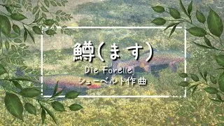 シューベルト歌曲 鱒 Die Forelle【ドイツリート/字幕で聴く歌曲】