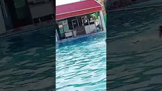 bsf water wing swimming,skil test,trade test