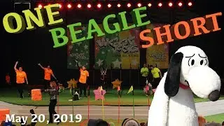 The WoofJocks Canine All Stars at Canada's Wonderland - May 20, 2019