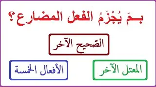 جزم الفعل المضارع: الصحيح الآخر - المعتل الآخر - الأفعال الخمسة (إعراب الفعل المضارع)