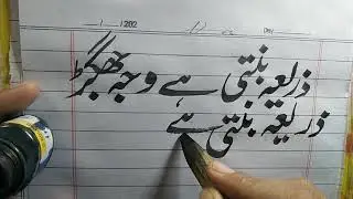 urdu practice video/statbyrauf
