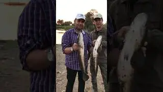 Snakehead fishing!! Samal fishing india!! Fishing in India