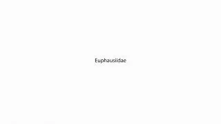 Euphausiidae PRONUNCIATION