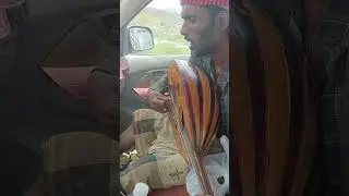 ٣ سبتمبر ٢٠٢٥