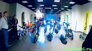 Знакомство с VeloCifero и Okla&rsquo;й - АБСОЛЮТНЫЕ НОВИНКИ😳